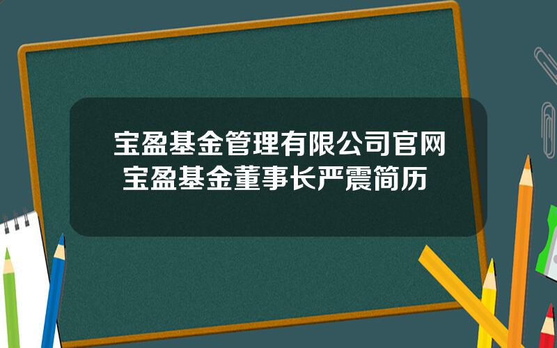 宝盈基金管理有限公司官网 宝盈基金董事长严震简历